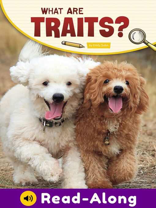 Cover image for What Are Traits?